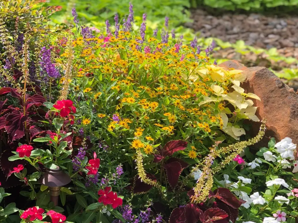 Vibrant flower bed designed and installed by PGS Landscaping