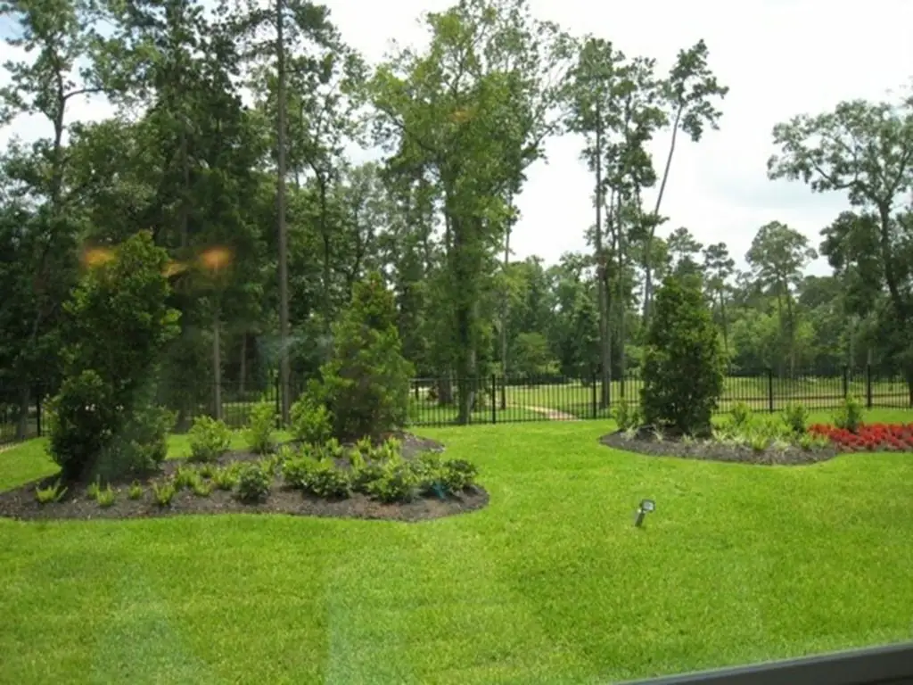Manicured residential lawn with tree wells and shaped beds